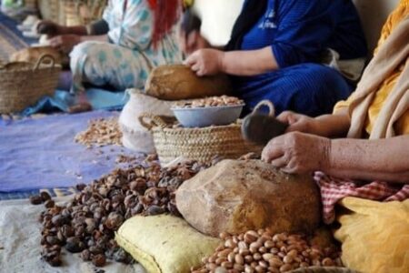 إحداث 204 تعاونية ومقاولة فلاحية بتاوريرت بمبلغ 138 مليون درهم