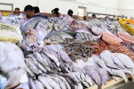 “حوت بثمن معقول” مبادرة رمضانية