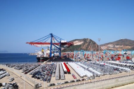 المغرب يصدر 35 ألف و500 طن من الأفوكادو